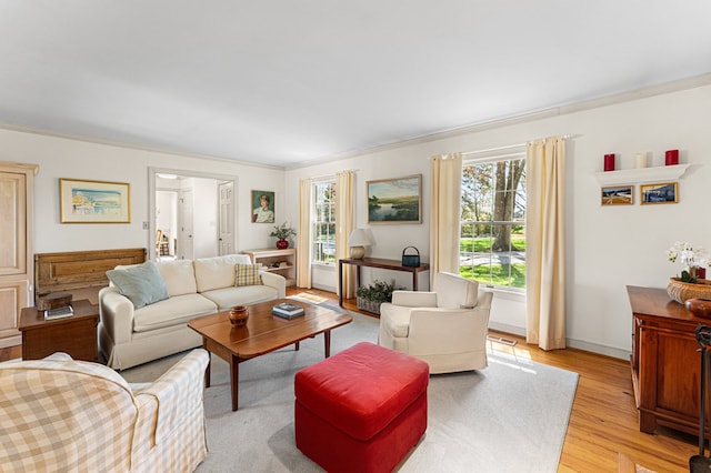 living room with light wood-style flooring