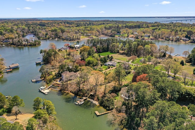 bird's eye view with a view of trees and a water view