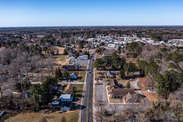 drone / aerial view