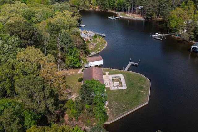 bird's eye view with a view of trees and a water view