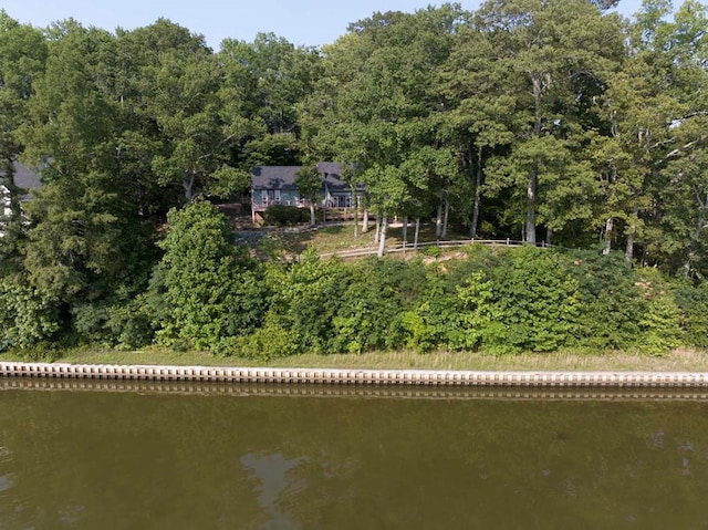 1061 Twiggs Ferry Rd, Hartfield, VA 23071 - view of yard with a water view and a wooded view