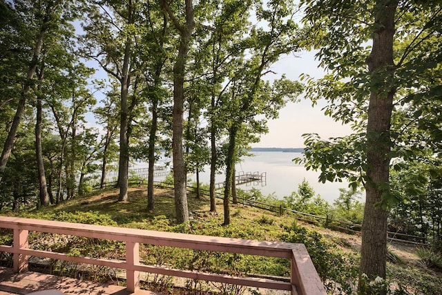 1061 Twiggs Ferry Rd, Hartfield, VA 23071 - water view
