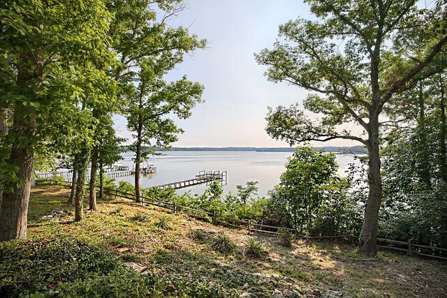 1061 Twiggs Ferry Rd, Hartfield, VA 23071 - water view
