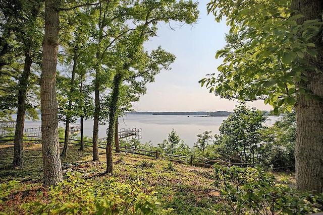 1061 Twiggs Ferry Rd, Hartfield, VA 23071 - water view