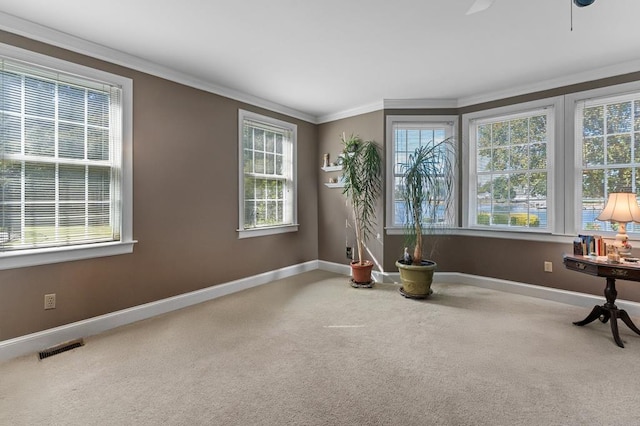 326 Coppedge Farm Rd, White Stone, VA 22578 - carpeted empty room with plenty of natural light, baseboards, a ceiling fan, and ornamental molding