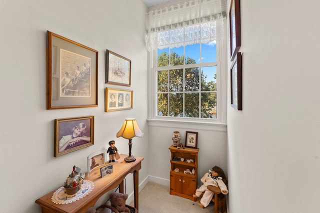 interior space with light carpet and baseboards