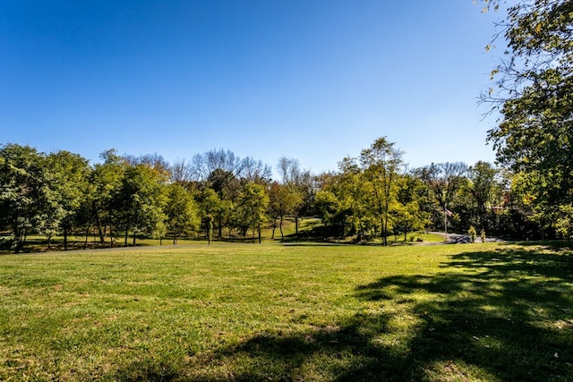 view of green lawn