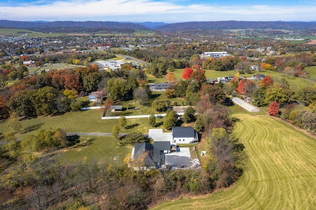 birds eye view of property with a mountain view