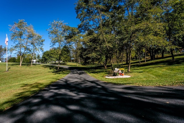 view of home's community featuring a yard