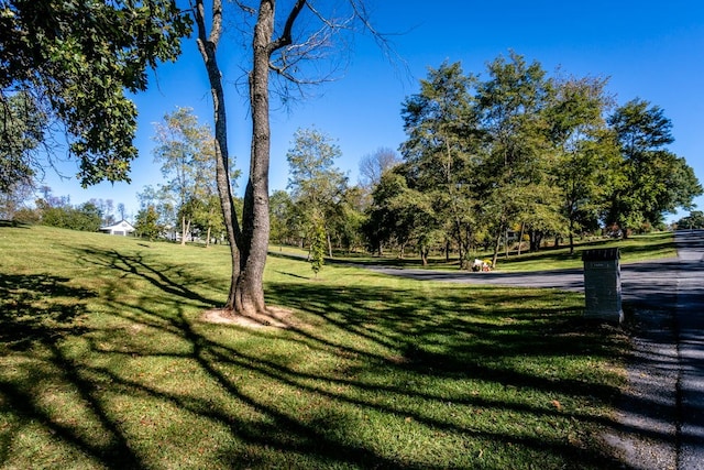 surrounding community with a lawn