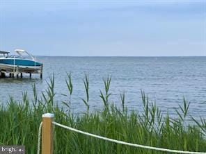 water view featuring a boat dock