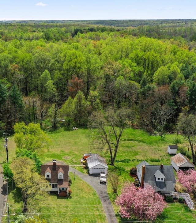 15498 Kings Hwy, Montross, VA 22520 - view of subject property featuring a forest