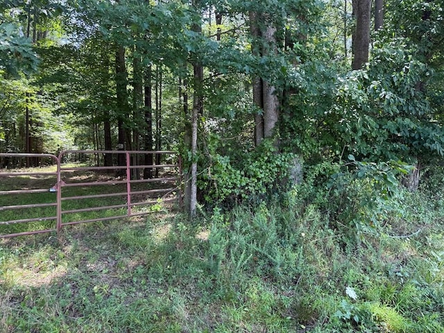37-39 Field Trial Rd, Lancaster, VA 22503