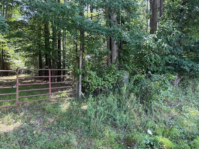 37-39 Field Trial Rd, Lancaster, VA 22503