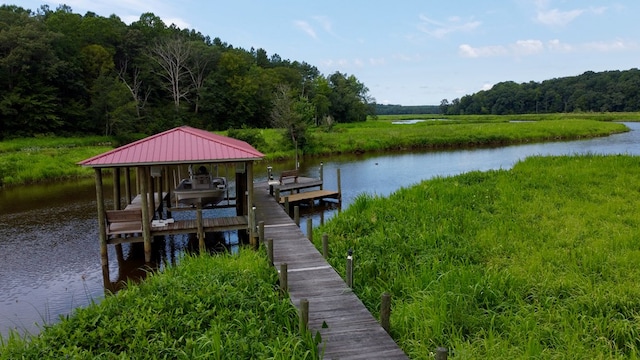 dock area with a water view