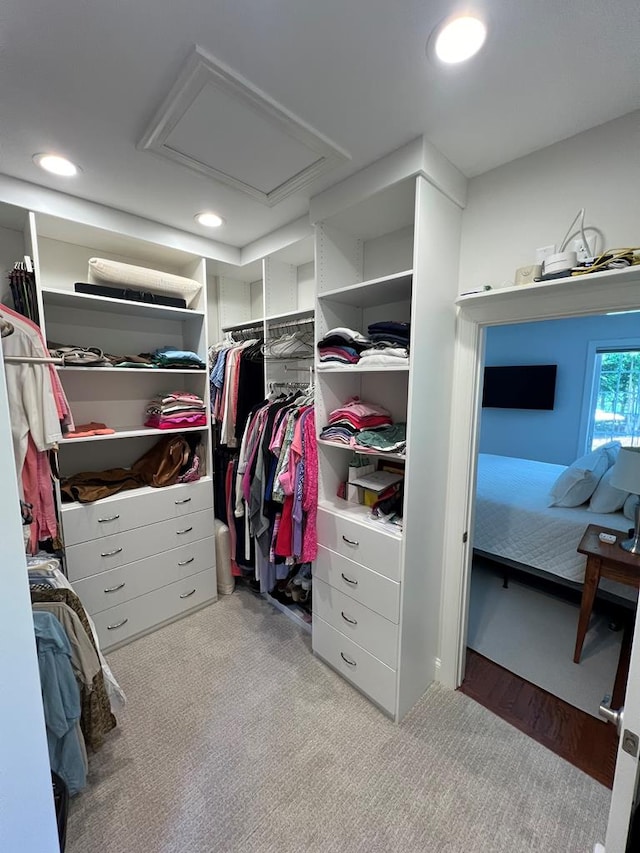 spacious closet featuring light colored carpet