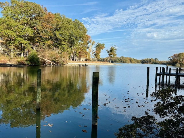 dock area with a water view