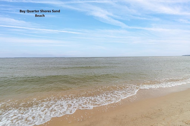 water view featuring a beach view