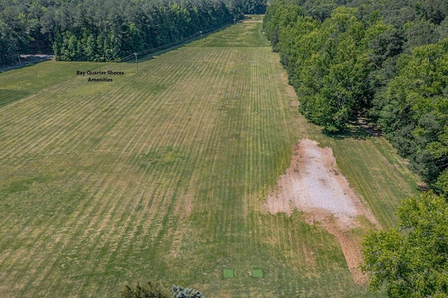 bird's eye view featuring a rural view