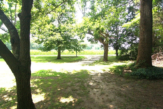 436 W Point Rd, Lancaster, VA 22503 - view of yard