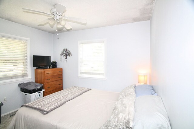 436 W Point Rd, Lancaster, VA 22503 - bedroom with multiple windows and a ceiling fan