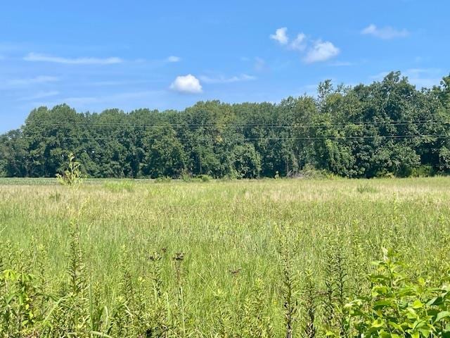 LOT2 Coan Stage Rd, Heathsville, VA 22473 - photo 1