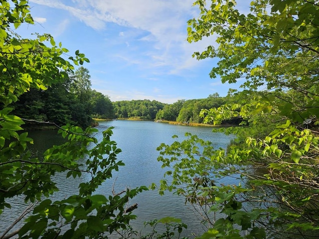 LOT50 Lightfoot Dr, Montross, VA 22524