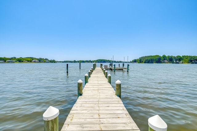 dock area with a water view