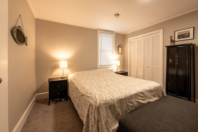 carpeted bedroom featuring ornamental molding and a closet