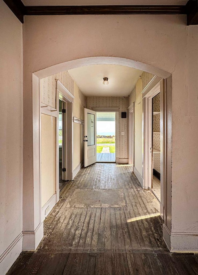 hall with wood-type flooring