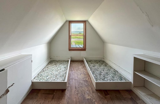 additional living space featuring lofted ceiling and dark hardwood / wood-style floors