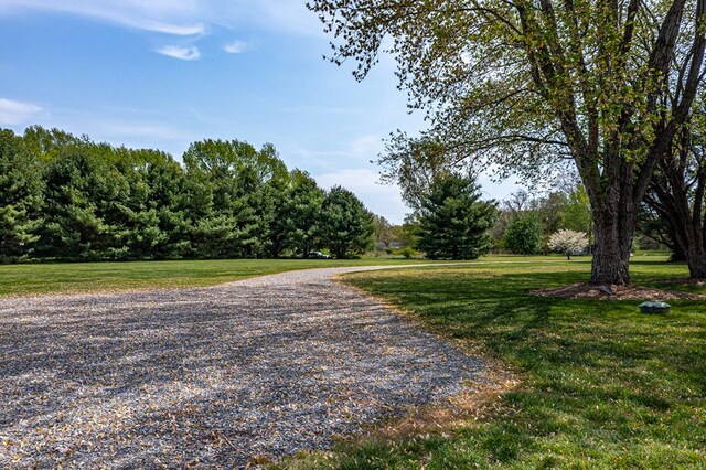 2920 Newmans Neck Rd, Heathsville, VA 22473 - view of road