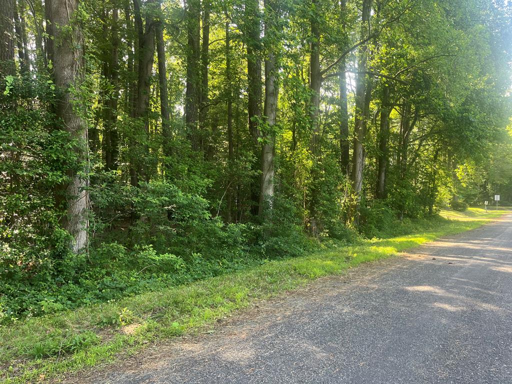 51 Mccormick Ct, Reedville, VA 22539 - photo 1