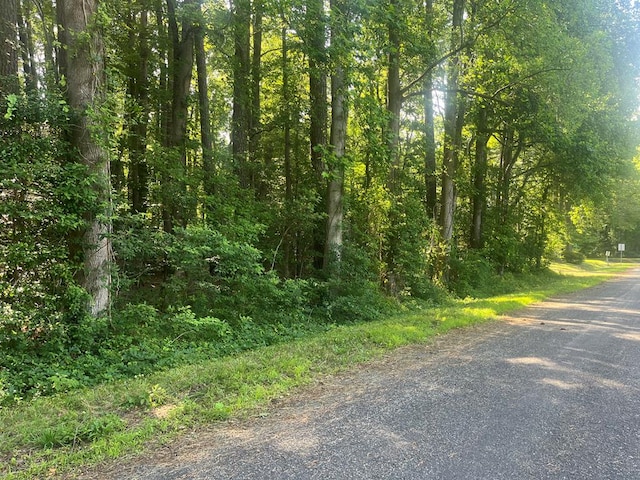 51 Mccormick Ct, Reedville, VA 22539 - photo 1