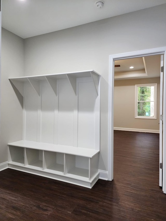 mudroom with dark hardwood / wood-style flooring