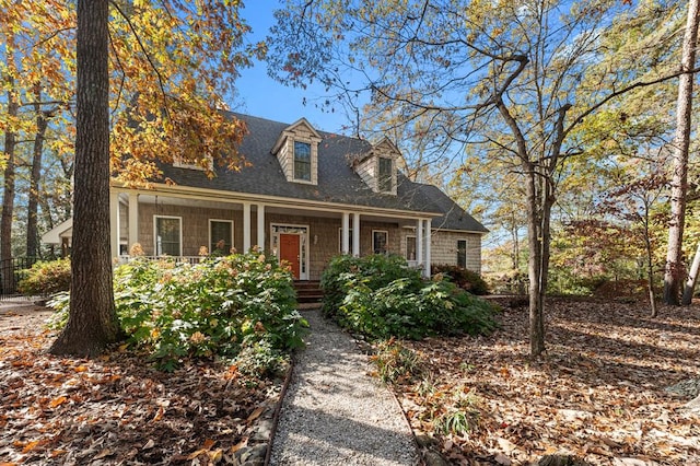 view of cape cod house