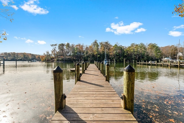 dock area with a water view