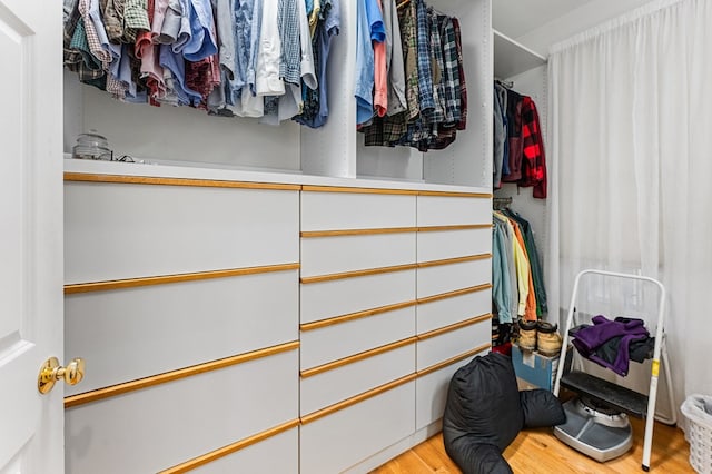 spacious closet with light wood-type flooring