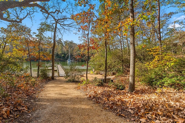 exterior space with a dock