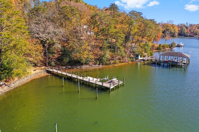 dock area with a water view