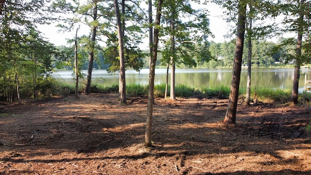 2395M Edmonds Ln, Weems, VA 22576 - photo 5