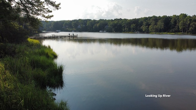 2395M Edmonds Ln, Weems, VA 22576 - photo 4