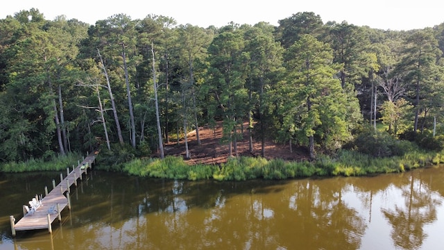 2395M Edmonds Ln, Weems, VA 22576 - photo 7