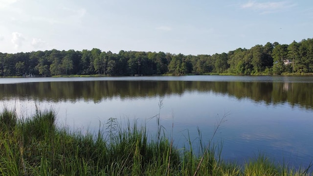 2395M Edmonds Ln, Weems, VA 22576 - photo 1
