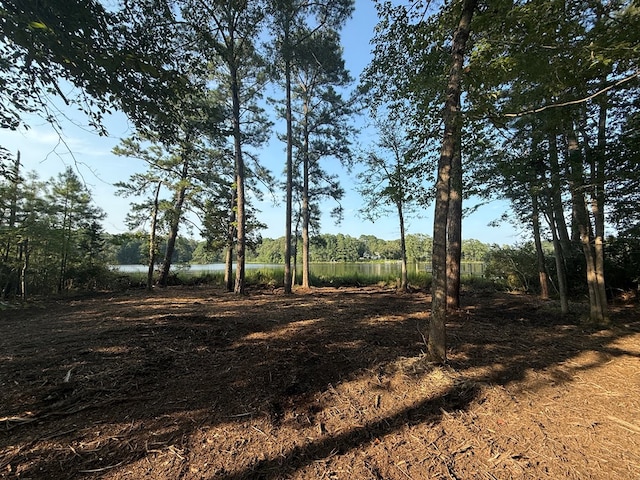 2395M Edmonds Ln, Weems, VA 22576 - photo 6