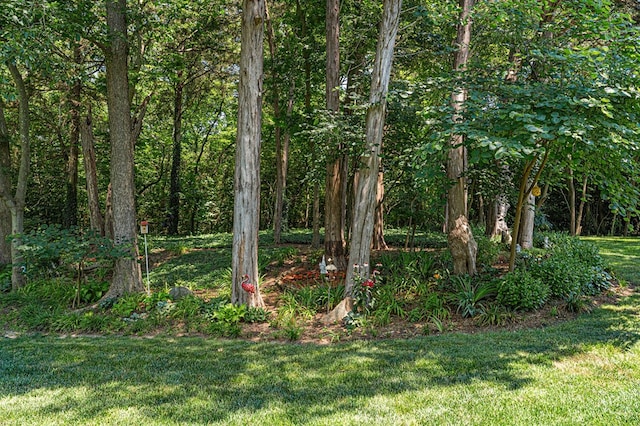 309 Nomini Bay Dr, Montross, VA 22520 - view of undeveloped land