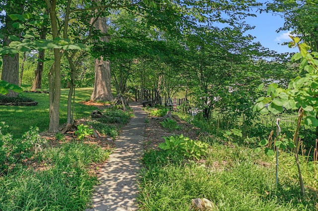 309 Nomini Bay Dr, Montross, VA 22520 - view of nature