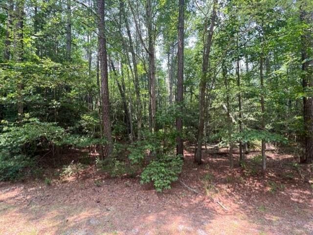 0157 Cubitt Creek Rd, Heathsville VA, 22473 land for sale