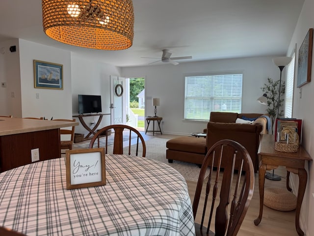230 Roseneath Ave, Kilmarnock, VA 22482 - dining room with baseboards, light wood-type flooring, a chandelier, and ceiling fan