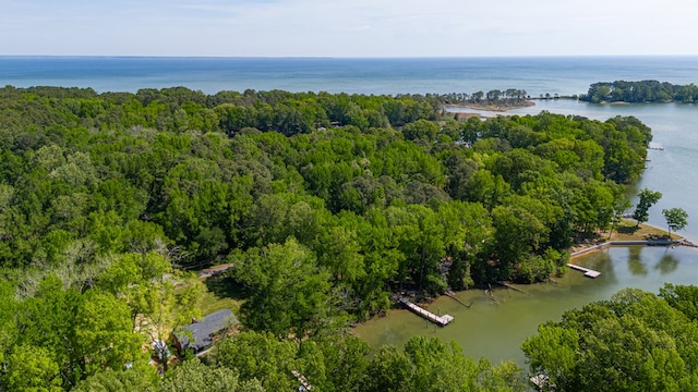 62 Denver Rd, Heathsville, VA 22473 - bird's eye view of a large body of water and a heavily wooded area